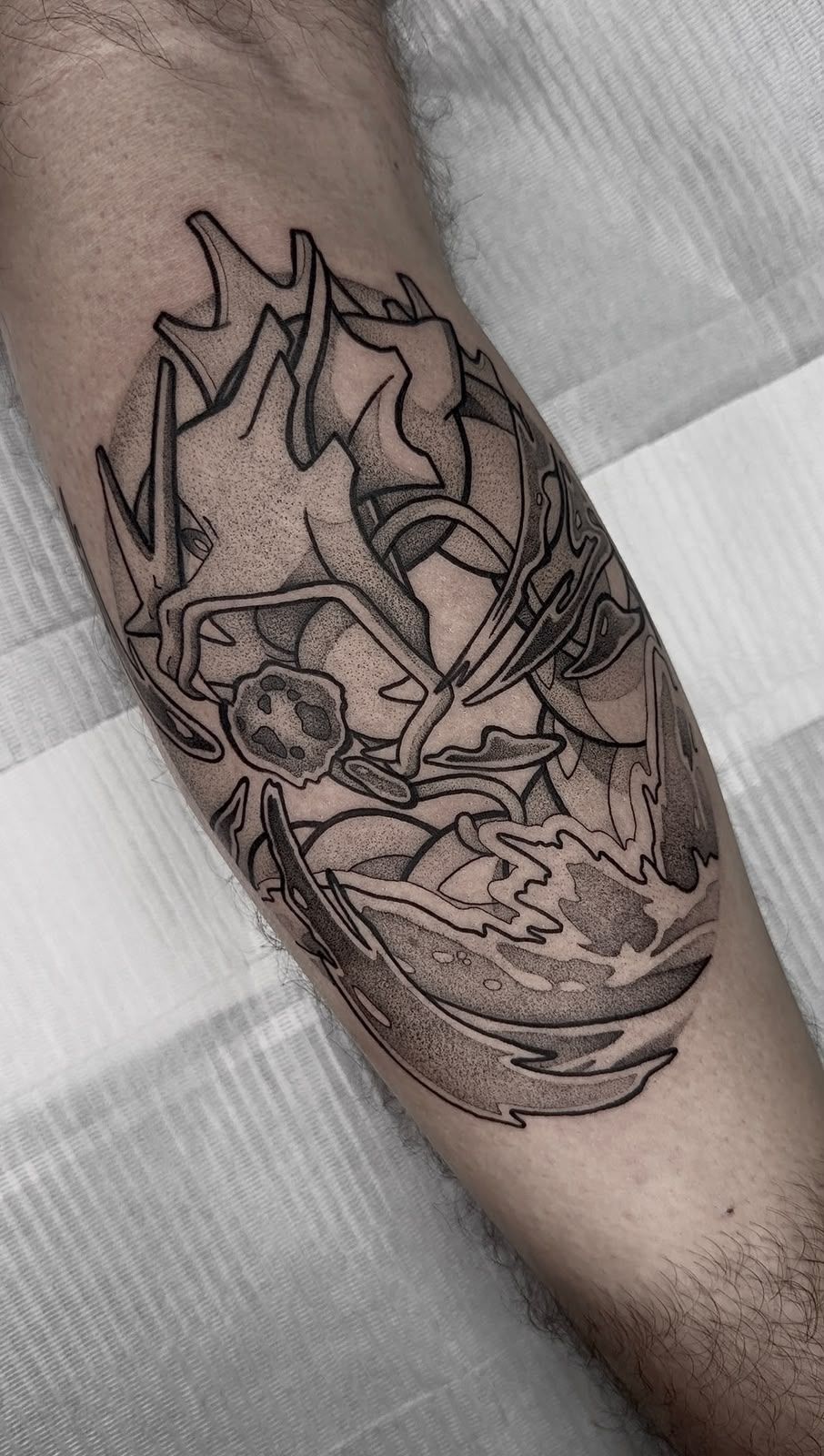 Gyarados com água e chamas